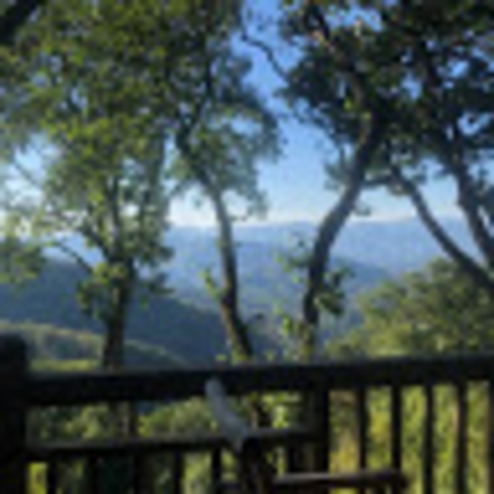 Meet your Posher, Leslie